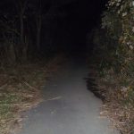 交通事故　良かった　231118